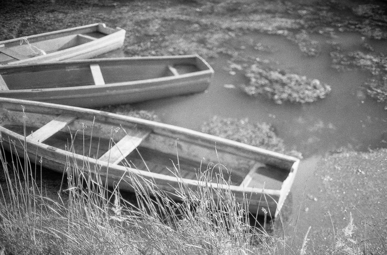 Canon AE-1, 50mm, Fomapan 200