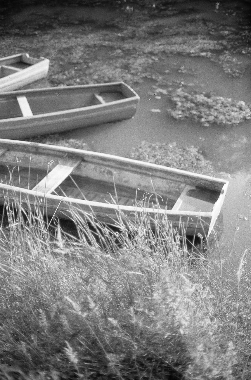 Canon AE-1, 50mm, Fomapan 200